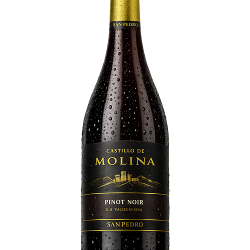 VINO CASTILLO DE MOLINA PINOT NOIR 750 cc