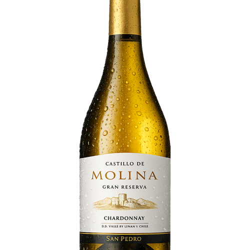 CASTILLO MOLINA GRAN RESERVA CHARDONNAY