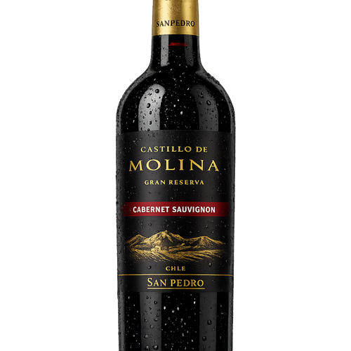 CASTILLO MOLINA GRAN RESERVA CS 750CC
