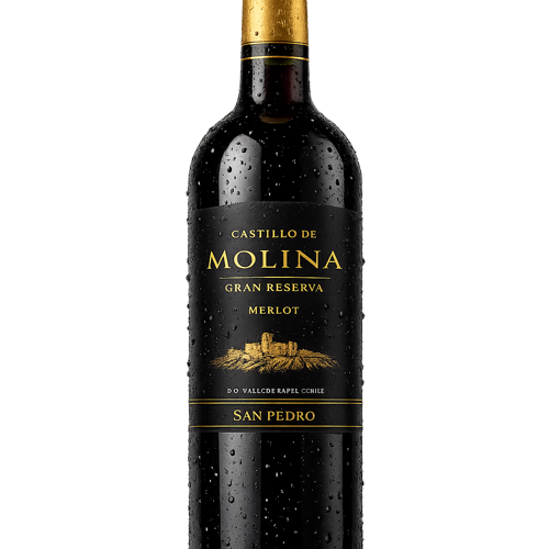CASTILLO MOLINA GRAN RESERVA MER 750CC